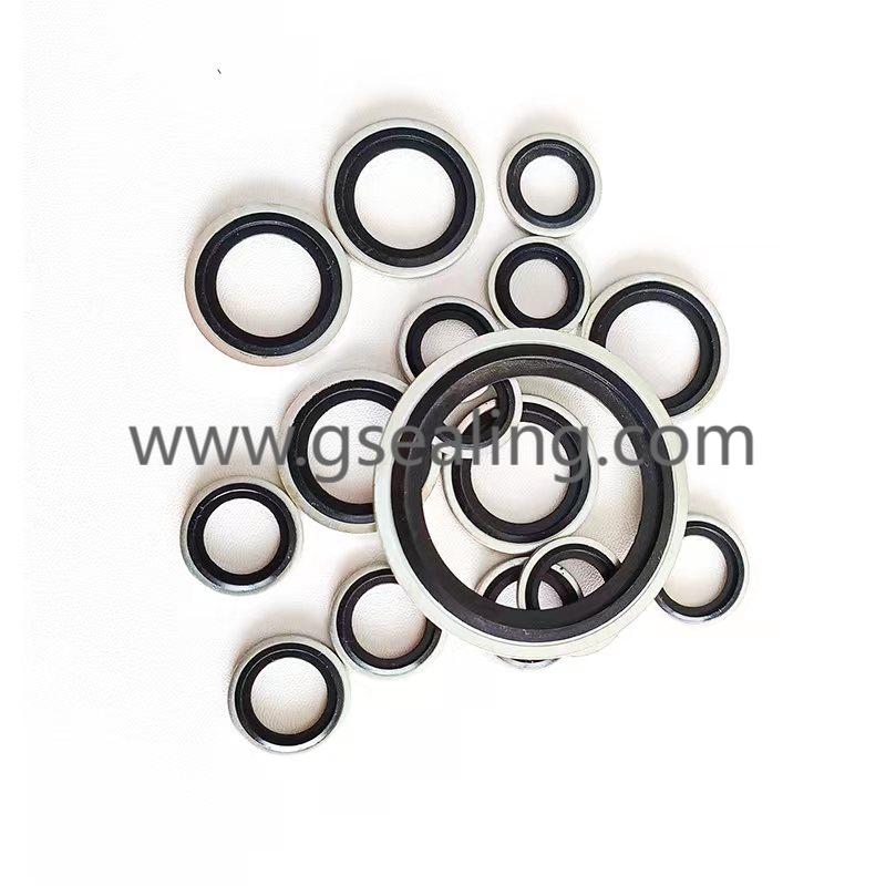 bonded washer seal(1)(1)